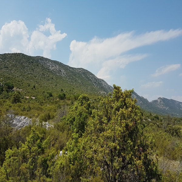 Offres de vente Terrain Vingrau 66600